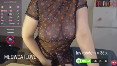 Snapshot of meowcatlove chatting on January 25, 2025, 8:00 pm meowcatlove online show from January 25, 2025, 8:00 pm