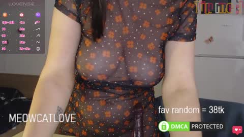 Snapshot of meowcatlove chatting on January 26, 2025, 11:08 pm meowcatlove online show from January 26, 2025, 11:08 pm