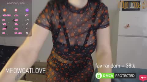 Snapshot of meowcatlove chatting on January 29, 2025, 8:14 pm meowcatlove online show from January 29, 2025, 8:14 pm