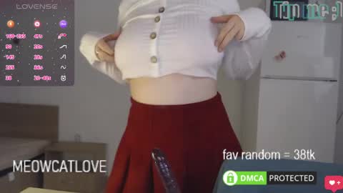 Snapshot of meowcatlove chatting on February 21, 2025, 9:32 pm meowcatlove online show from February 21, 2025, 9:32 pm