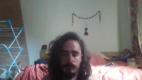 mexcat2026 online show from June 3, 2026, 2:33 pm
