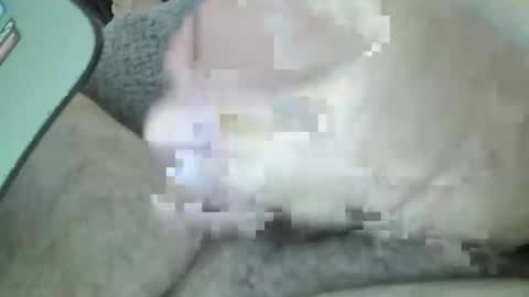 mexianthehawk online show from March 14, 2026, 5:02 am