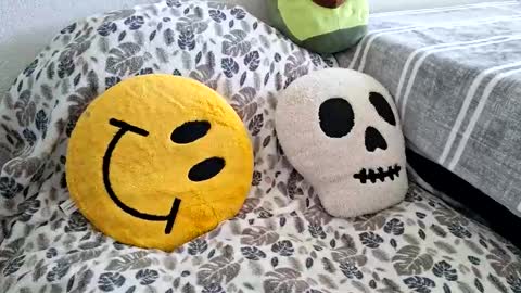 mexidaddycan online show from December 17, 2025, 6:58 pm