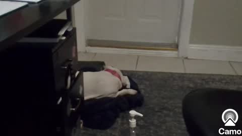 Mg13999 online show from January 6, 2025, 8:39 pm