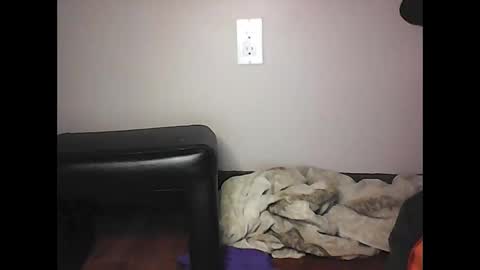 mi45419 online show from November 2, 2025, 7:05 pm