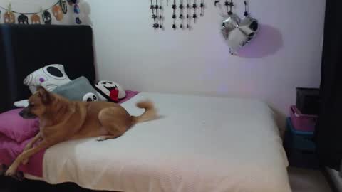 mia online show from February 3, 2026, 10:59 pm