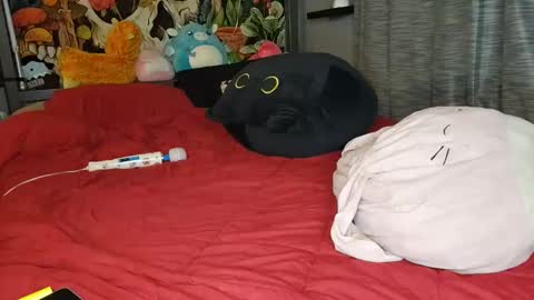 Snapshot of miaelizabethlove chatting on January 10, 2025, 11:11 am Mia Love online show from January 10, 2025, 11:11 am