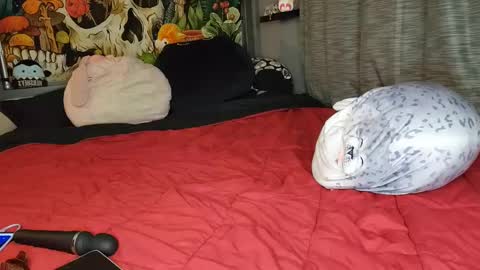 Snapshot of miaelizabethlove chatting on February 8, 2025, 6:12 am Mia Love online show from February 8, 2025, 6:12 am