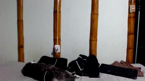 Snapshot of miahells chatting on January 17, 2026, 11:41 pm Mia Sam online show from January 17, 2026, 11:41 pm