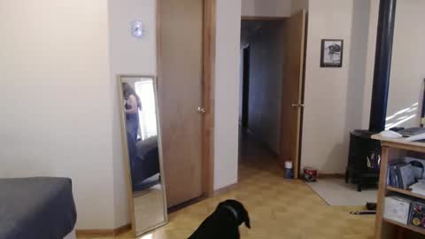 Snapshot of michelle209 chatting on February 13, 2025, 3:56 pm Michelle online show from February 13, 2025, 3:56 pm