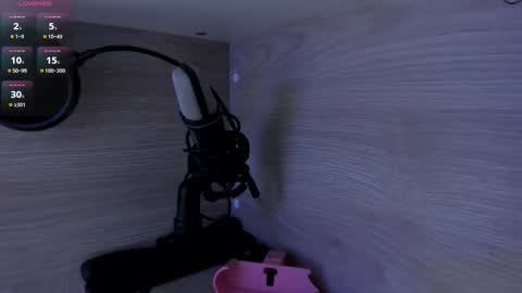 michellepreston_ online show from February 20, 2026, 11:54 am