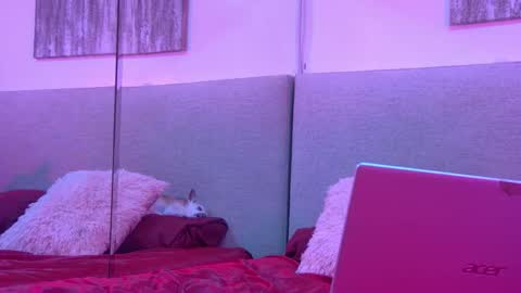 Snapshot of mickeyshyne69 chatting on November 27, 2025, 4:25 am Mickey online show from November 27, 2025, 4:25 am