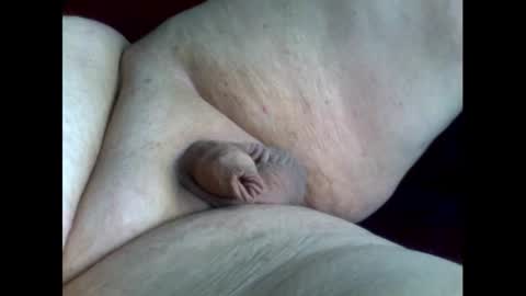 micropimmel online show from September 16, 2025, 3:02 pm