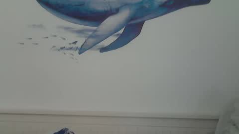 Snapshot of midhir chatting on January 15, 2025, 7:44 pm kike online show from January 15, 2025, 7:44 pm