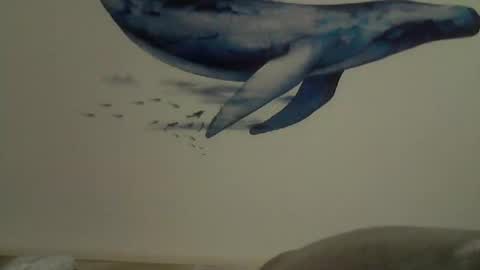 Snapshot of midhir chatting on February 27, 2025, 2:43 pm kike online show from February 27, 2025, 2:43 pm