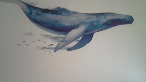 Snapshot of midhir chatting on December 1, 2025, 2:33 pm kike online show from December 1, 2025, 2:33 pm