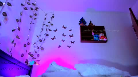       online show from December 11, 2024, 3:35 am