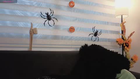 Snapshot of midori__san chatting on November 4, 2025, 7:13 pm midori__san online show from November 4, 2025, 7:13 pm