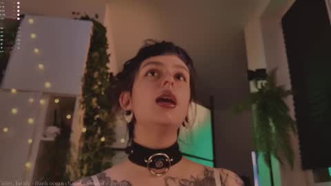 Snapshot of mika_moon_ chatting on November 12, 2025, 4:18 pm mika_moon_ online show from November 12, 2025, 4:18 pm