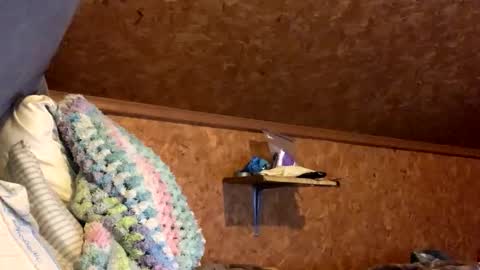 mikeblair5081 online show from December 18, 2025, 2:06 am