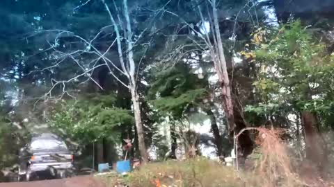 mikeblair5081 online show from December 22, 2025, 7:55 pm