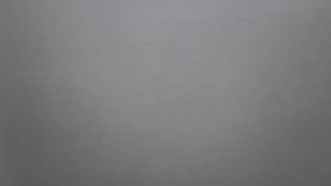 Snapshot of mikehannigan123 chatting on February 19, 2026, 4:47 pm mikehannigan123 online show from February 19, 2026, 4:47 pm