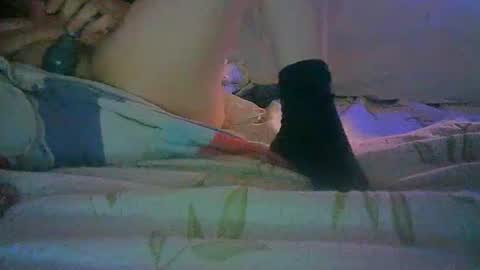 Snapshot of mikemike11k chatting on December 30, 2024, 3:36 am mikemike11k online show from December 30, 2024, 3:36 am