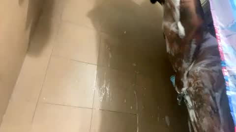 Snapshot of mikeyblunt chatting on February 25, 2025, 1:28 pm mikeyblunt online show from February 25, 2025, 1:28 pm