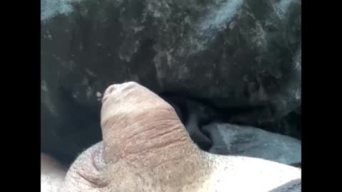 mikke332 online show from February 10, 2025, 11:57 am