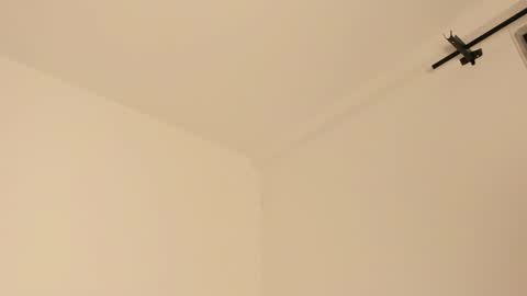 Snapshot of mila_monty__ chatting on February 14, 2025, 7:28 am online show from February 14, 2025, 7:28 am