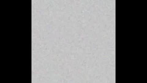 milehighcock5280 online show from October 31, 2025, 10:27 am