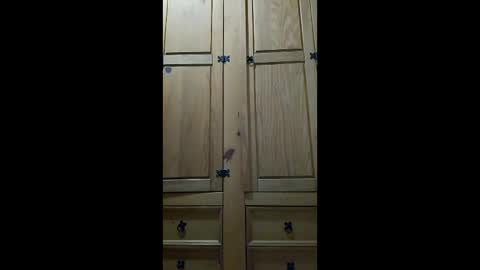 mineiro1514 online show from April 6, 2026, 1:14 am