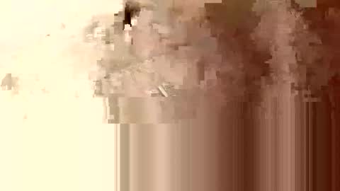 minniehunney online show from April 23, 2026, 8:24 am