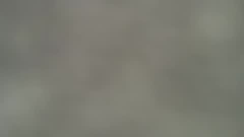 Mirela online show from April 16, 2026, 12:06 pm