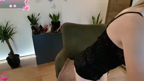 Snapshot of mirela_silver chatting on August 2, 2026, 3:16 am Mirela online show from August 2, 2026, 3:16 am