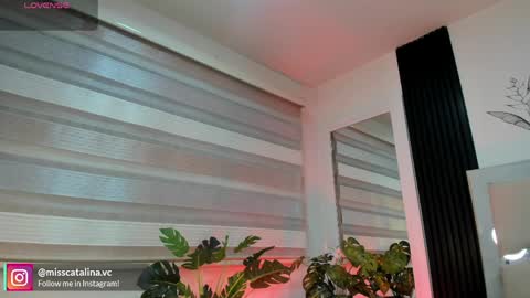 Snapshot of miss_catalinaa chatting on April 6, 2026, 11:44 am Catalina online show from April 6, 2026, 11:44 am