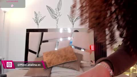 Catalina online show from May 4, 2026, 12:01 pm