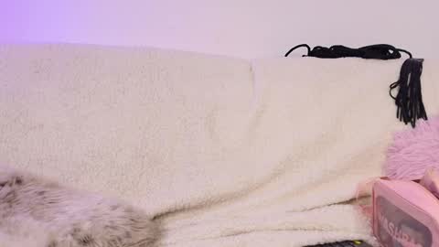 miss_sophia21 online show from February 18, 2026, 2:51 am