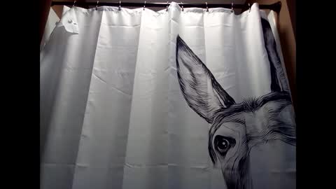 Snapshot of misseeva chatting on December 5, 2024, 6:44 pm MissEeva online show from December 5, 2024, 6:44 pm