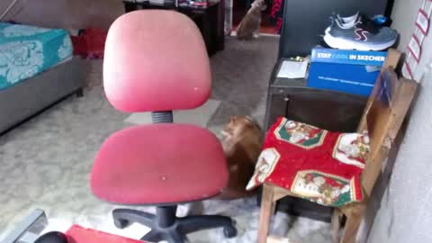 Maria Gomezz online show from May 26, 2026, 6:04 pm