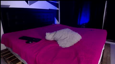 Snapshot of missloise chatting on January 29, 2025, 12:56 pm Miss Loise online show from January 29, 2025, 12:56 pm