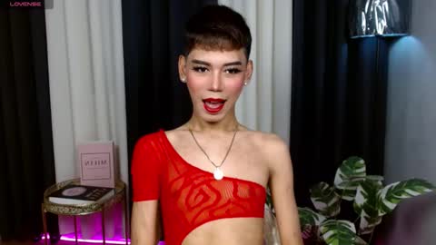 Stella online show from September 17, 2025, 6:59 am