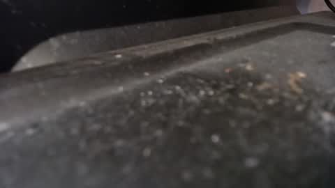 Calipso online show from April 21, 2026, 9:15 am