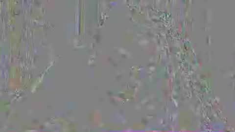 Mistress Mystii online show from July 3, 2026, 3:02 am