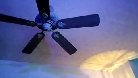 Snapshot of mitchnails69 chatting on February 10, 2025, 7:04 am BobbyMitchGa online show from February 10, 2025, 7:04 am