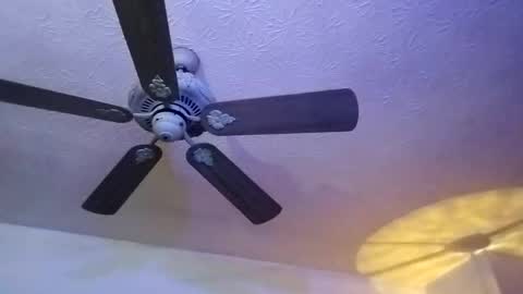 Snapshot of mitchnails69 chatting on February 12, 2025, 12:44 pm BobbyMitchGa online show from February 12, 2025, 12:44 pm