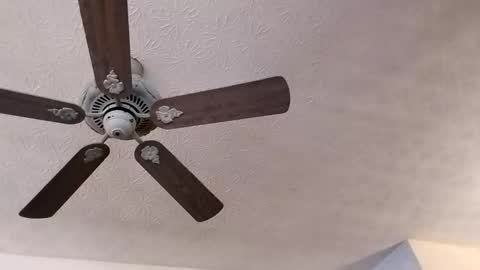 Snapshot of mitchnails69 chatting on February 23, 2025, 3:40 pm BobbyMitchGa online show from February 23, 2025, 3:40 pm