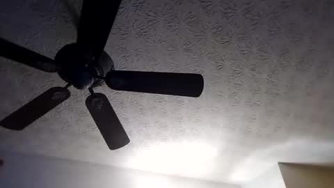 Snapshot of mitchnails69 chatting on September 18, 2025, 10:28 am BobbyMitchGa online show from September 18, 2025, 10:28 am