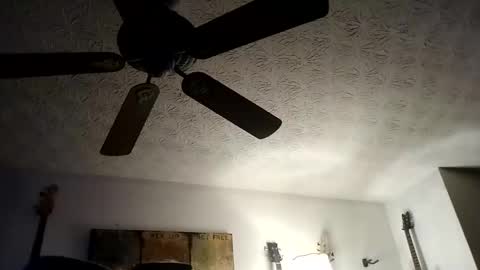 Snapshot of mitchnails69 chatting on September 20, 2025, 10:27 am BobbyMitchGa online show from September 20, 2025, 10:27 am