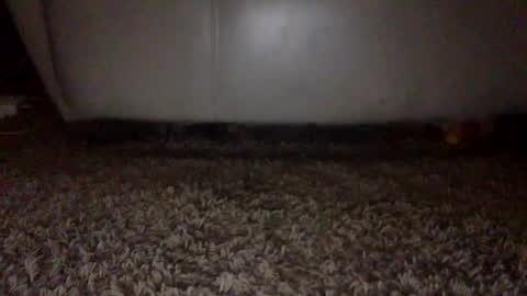 SexyRed online show from September 16, 2025, 6:53 pm